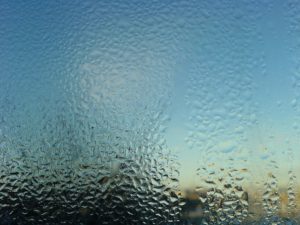 Avoiding damp in your surrey home